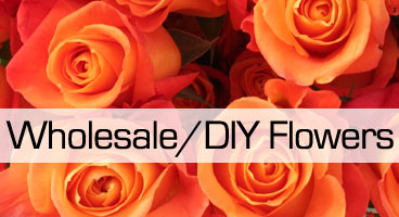 (image for) Wholesale/DIY Flowers