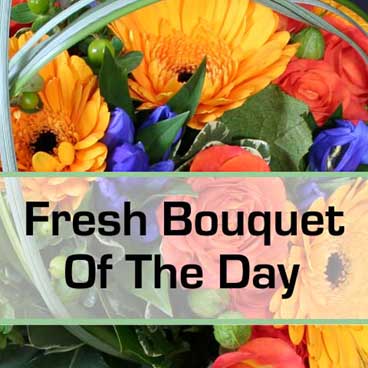 Bouquet of the Day