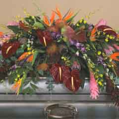 (image for) Exotic Tropical Casket Flower Spray