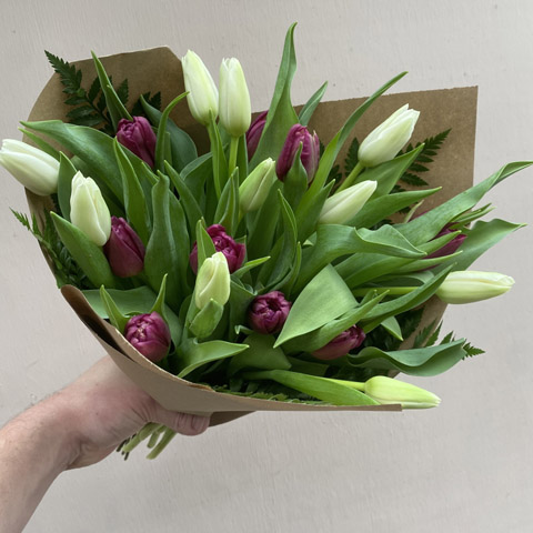 (image for) Wrapped Tulip Bouquet