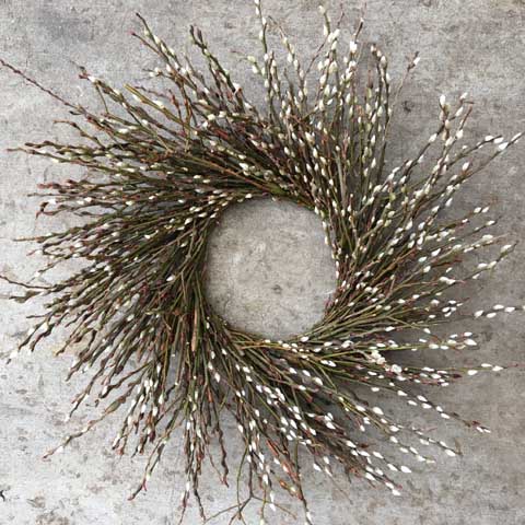 (image for) 24" Pussy Willow Wreath